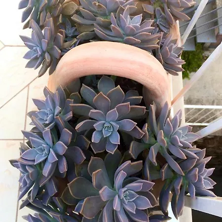 Appartement Rr Dubrovnik