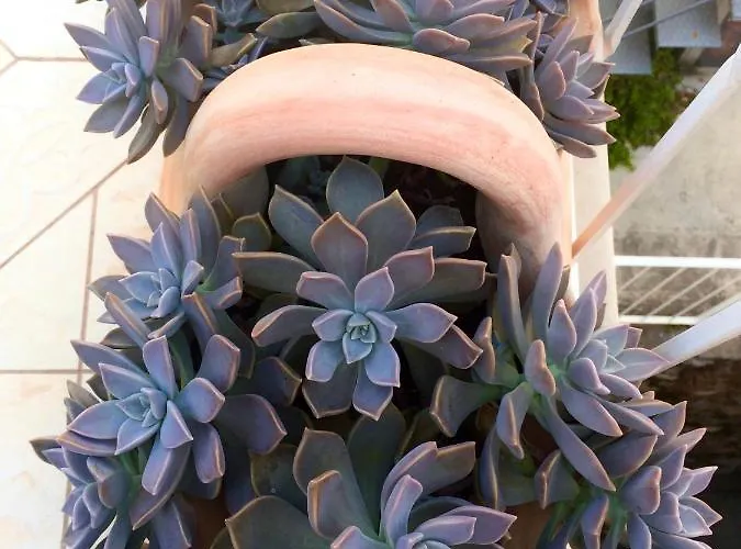 Διαμέρισμα Rr Ντουμπρόβνικ